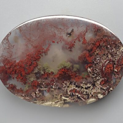 A red and brown agate on a white surface.