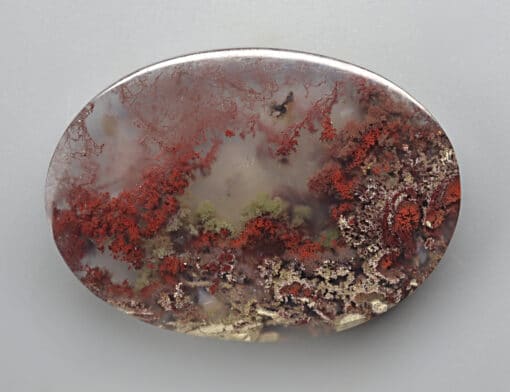 A red and brown agate on a white surface.