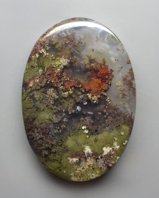 An oval shaped piece of mossy rock.