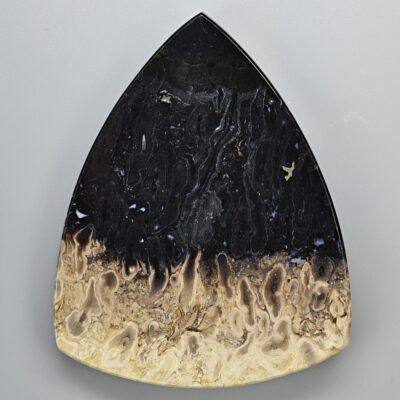 A black and gold triangular plate on a white surface.