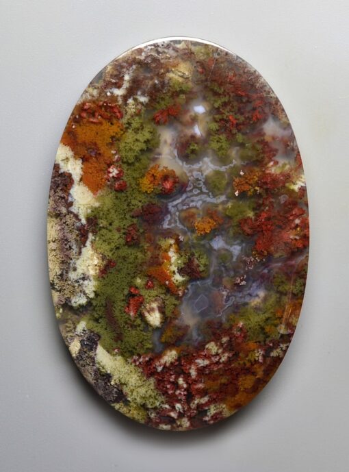 An oval piece of agate with moss on it.