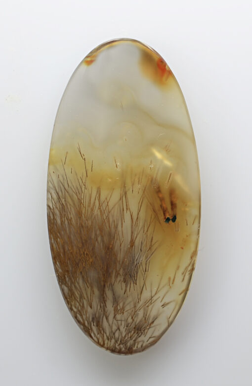 A piece of agate with a flower on it.