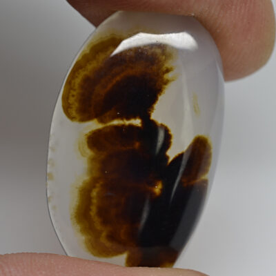 A person holding a piece of agate with black spots on it.
