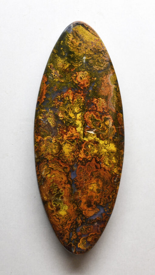 An oval shaped piece of yellow and brown apatite.