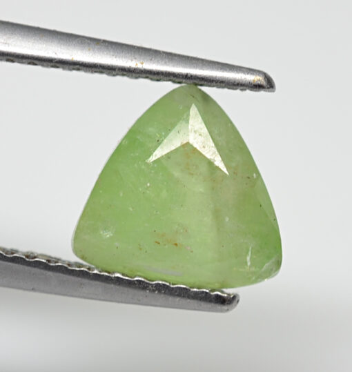 Pargasite 2.00 ct Trillion Cut 8.00 x 7.50 mm 4.50 mm max4925