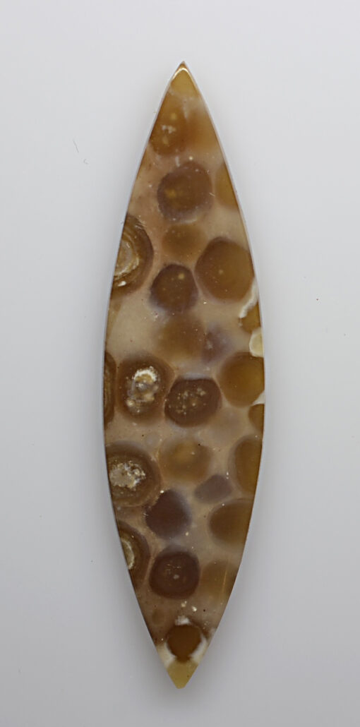 A piece of agate with brown spots on it.