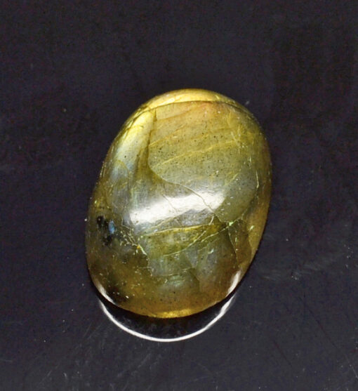 A shiny oval shaped stone.
