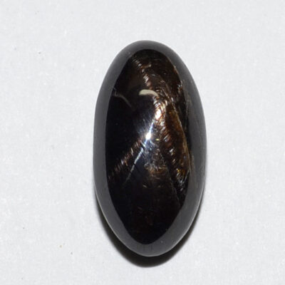 A black and brown oval shaped stone on a white surface.