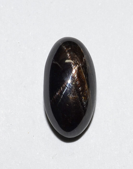 A black and brown oval shaped stone on a white surface.