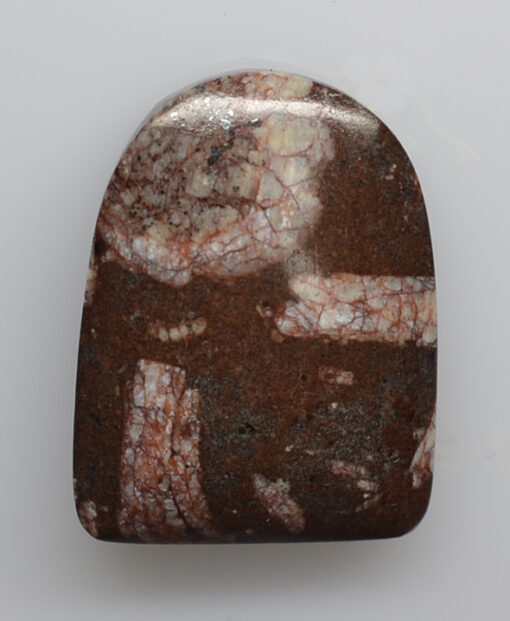 A brown and white stone on a white surface.