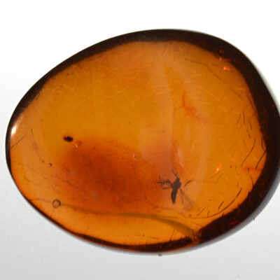 A piece of orange amber on a white surface.