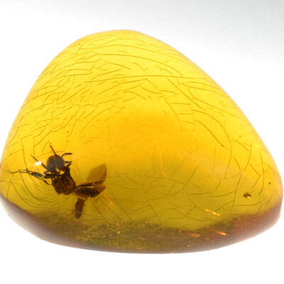 A bee is sitting on a yellow amber piece.