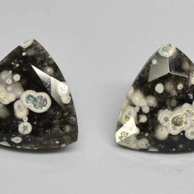 A pair of black and white apatite cabochons.