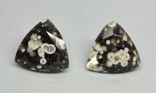 A pair of black and white apatite cabochons.