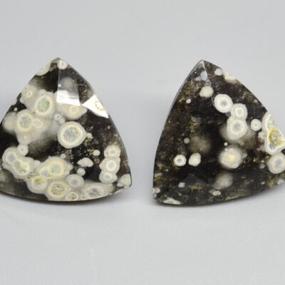 A pair of black and white apatite stud earrings.