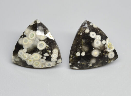 A pair of black and white apatite stud earrings.