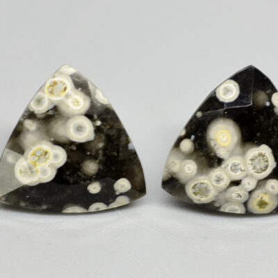 Four pieces of black and white apatite on a white surface.