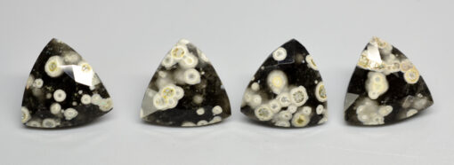 Four pieces of black and white apatite on a white surface.
