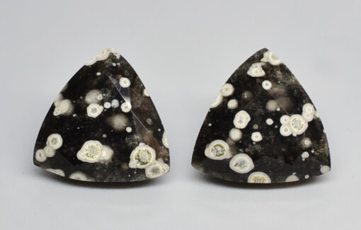 A pair of black and white triangular shaped stones.