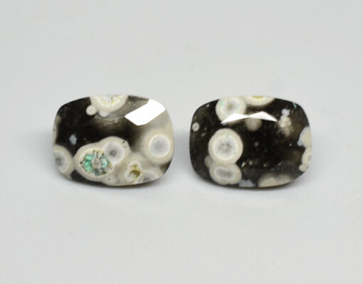 A pair of black and white opal stud earrings.