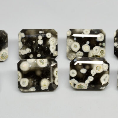 A group of black and white apatite cabochons on a white surface.