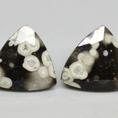 A pair of black and white agate stud earrings.