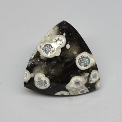 A black and white diamond triangular shaped stone.