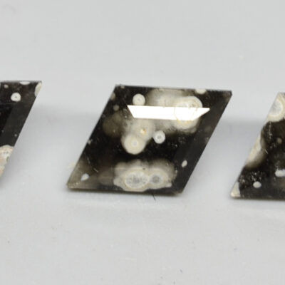 Three pieces of black and white apatite on a white surface.