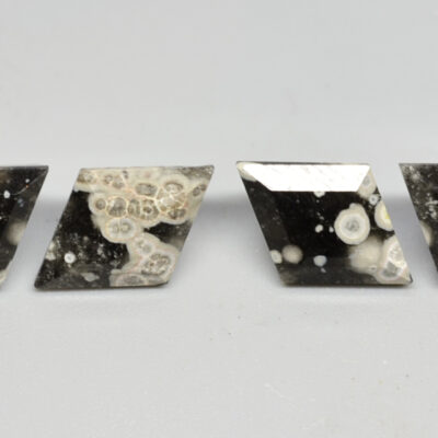 Four pieces of black and white agate on a white surface.