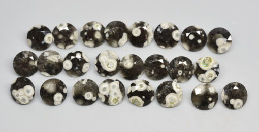 A group of black and white opal cabochons on a white surface.