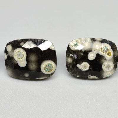 Four black and white apatite cabochons on a white surface.
