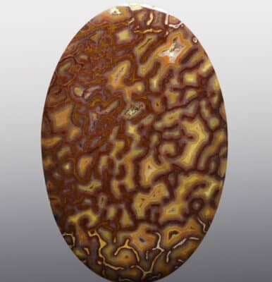 Argentina Dinosaur Bone 33.48 ct Oval Cabochon 37.90 x 25.00 x 3.80 mm m882